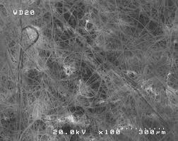 Check spelling or type a new query. Masks Under The Microscope Ee Times