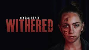 Stories, Lessons & Insights