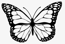 We did not find results for: Background Rating Abstract Butterfly Gambar Kupu Kupu Hitam Putih Keren Hd Png Download Transparent Png Image Pngitem