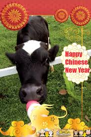 We did not find results for: Aves World å†œã®ä¼ äººat Semenyih Eco Venture Home Facebook