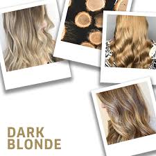 More attention should be given to the top section to give the highlights an added attraction. 17 Dark Blonde Hair Ideas Formulas Wella Professionals