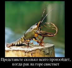 У расследования Иловайской трагедии есть реальные перспективы, - экс-прокурор Опанасенко - Цензор.НЕТ 3466