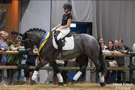 Michael Böhm und Sandra Krämer sind Norikerzüchter des Jahres 2024!