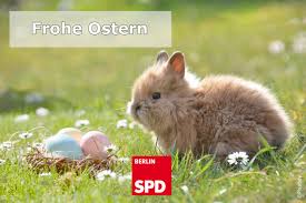 „ostern gehört zu unserem kerngeschäft, sagte der vizepräsident des das geht aus den heute veröffentlichten plänen des vatikans für die karwoche und das osterfest hervor. Frohe Ostern Bettina Konig Mda
