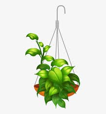 Maybe you would like to learn more about one of these? Hanging Flower Png My Hanging Plants Vector Png Png Image Transparent Png Free Download On Seekpng