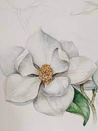 Illustration For Swimsuit By Lumiere Magique On Behance Watercolor Illustration Flower Drawing Flower Painting