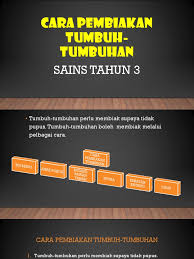 Cara Pembiakan Tumbuh Tumbuhan