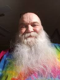 Mullein Tea Benefits for Hair Growth and Digestive Health