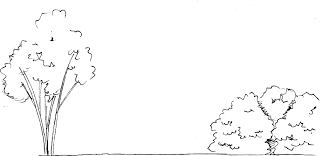 Some examples of the effective use of balance. Principles Of Design Balance In The Landscape Revolutionary Gardens