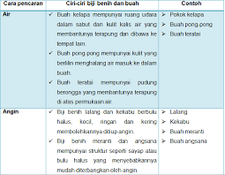 Kssr sains tahun 5 rantai makanan. Proses Hidup Tumbuhan Lessons Blendspace