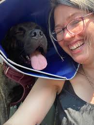 Adorable cat with deformed back legs