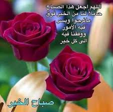 صور صباح الخير واجمل عبارات صباحية للأحبه والأصدقاء موقع مصري Good Morning Flowers Beautiful Morning Messages Good Morning Coffee