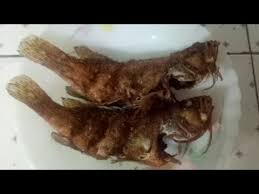 0 menit 4 porsi 0 comment s Cara Mudah Goreng Ikan Ikan Kerapu Goreng Youtube