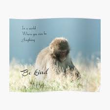 Please leave your favorite funniest joke! Monkey Quotes Posters Redbubble
