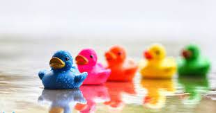 صور ناعمة 2021 خلفيات ناعمه كيوت روعة duck wallpaper rubber duck cute wallpapers