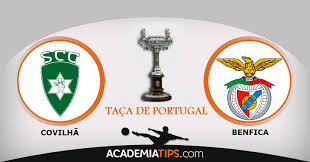 Sl benfica played against sporting cp in 2 matches this season. Covilha X Benfica Apostas Online Taca De Portugal Apostas Online Tacas Portugal