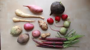 Jul 17, 2019 · vegetables dogs can & can't eat q&a list. Roasted Root Vegetables Ranked Paste