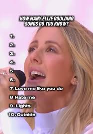 A Fan Pushing Ellie Goulding