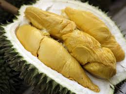 Durian mendapatkan predikatnya sebagai raja buah di asia tenggara. Berkebun Archives Laman 8 Dari 8 Athletic Field Marker