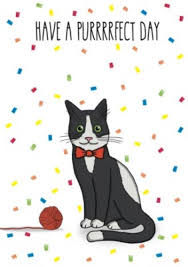 With tenor, maker of gif keyboard, add popular birthday cat animated gifs to your conversations. Perfect Purfect Day Cat Confetti Pun Birthday Card Moonpig