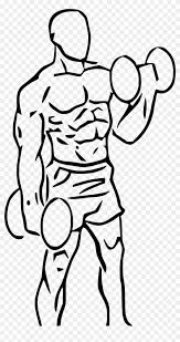 Bicep Drawing Male Huge Freebie Download For Powerpoint Bicep Curl Drawing Hd Png Download 1000x1843 5893039 Pngfind I was told tendonesis surgery would relive my. bicep curl drawing hd png download
