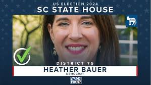 Heather Bauer reelected in South Carolina House of Representatives District  75