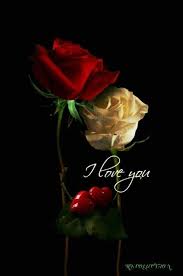 You can also browse our previous collection of beautiful i love you images with roses. Romantic Love Flowers Images Gif 2021 For Android Apk Download