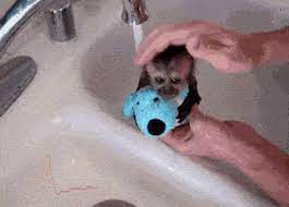 4.5 out of 5 stars. Bath Time For Monkey Cute Monkey Cute Little Animals Animals