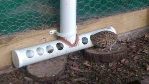 Consequently, slow feed hay bags are all the latest rage. The Best Ever Quail Feeder Google Search Quail Coop Quail Chicken Feeders