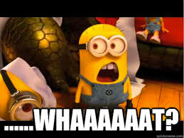 Image result for what meme