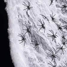 We did not find results for: Lavinya 1000sqft Fake Spider Web Halloween Decorations 60 Extra Spiders For Indoor And Outdoor Walmart Com Walmart Com
