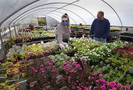 Order flowers online with same day delivery from doherty's flowers. Through Coronavirus Pandemic And Two World Wars This Des Moines Nursery Keeps People Planting And Believing The Seattle Times