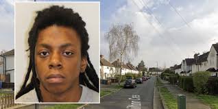 London news: Man jailed after killing ex's neighbour after saying he needed  to have sex due to blue balls'