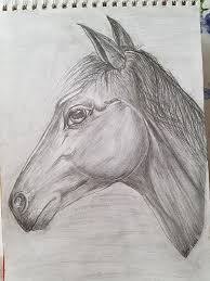 Graphite Drawing Horse My Favourite Animal Graphite Drawings Horses Animals
