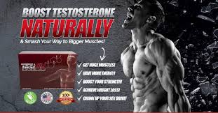 Now, if you're unfamiliar with what those are. Testrx Review Does Testrx The Best Natural Testosterone Booster Supplement