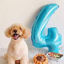99 ($0.89/ounce) save more with subscribe & save. Where To Buy Dog Cakes 9 Shops In Manila Wanderpinas