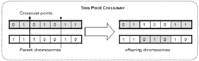 Thanks for reading cfi's guide to the crossover rate. Two Point Crossover Download Scientific Diagram