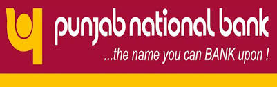 Image result for pnb