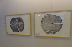 Hatice Bengisu Bienal 4 Izmir Baski Resim Odulu Baski Resim Sanat Baski