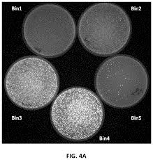 Ktt_2020 hasn't shared any projects. Methods To Modulate Protein Translation Efficiency Djuranovic Sergej Washington University