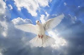 Οργισμένη η μητέρα της καρολάιν, δεν υποπτεύθηκε στιγμή τον μπάμπη. Omorfes Eikones 3hmerwnei H Giorth Toy Agioy Pneymatos Symfwna Panta Me Th Xristianikh Didaskalia To Agio Pneyma Einai Mia Apo Tis Treis Ypostaseis H Proswpa Ths Agias Triadas Dhladh Toy Enos