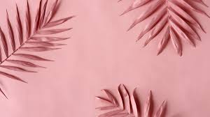 Choose from hundreds of free pink wallpapers. Pink Aesthetic Wallpaper Top Hd Free Pink Aesthetic Background 24wallpapers