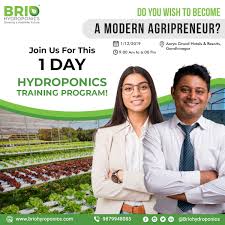 Pin On Hydroponics Training