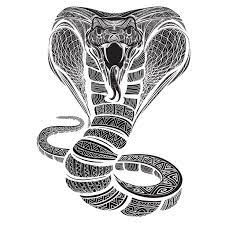 Cobra In Svg Png And Jpeg Eps Files Instant Download Cobra Files Cobra Silhouette Vector File Digital Download Tshirt Vector Design Vector Design Eps Turtle Silhouette