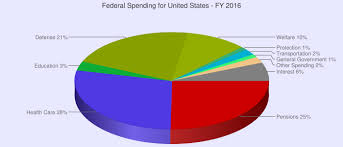 12 specific us fiscal spending pie chart