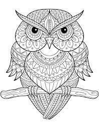 Hibou Mandala A Colorier Owl Coloring Pages Mandala Coloring Pages Coloring Pages Nature