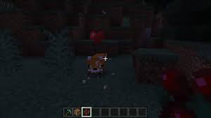 How To Tame A Fox In Minecraft