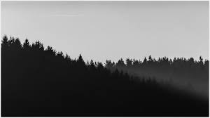 172 18 Minimal Wallpaper White Ideas Desktop Wallpaper Black Minimalist Desktop Wallpaper Minimalist Wallpaper