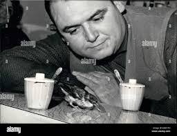 Matthew Sparrow's Instagram, Twitter & Facebook