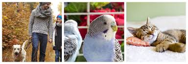 We are an experienced and compassionate pet care team serving merrimack nh and surrounding towns. Marlin Coast Veterinary Hospital